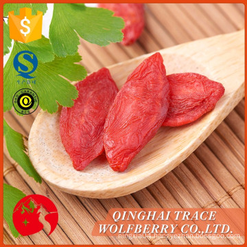 Free sample organic dried qinghai goji berries,low price goji berry